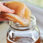 Kombucha-Scoby.jpg