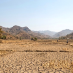 54-persen-wilayah-dilanda-kekeringan-waspada-el-nino-bisa-sampai-awal-2027_319804
